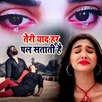 Teri Yaad Har Pal Satati Hai