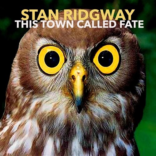 This Town Called Fate