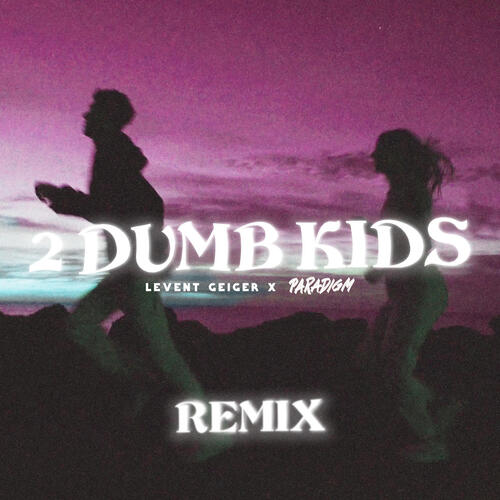 2 Dumb Kids (Paradigm Remix)_poster_image