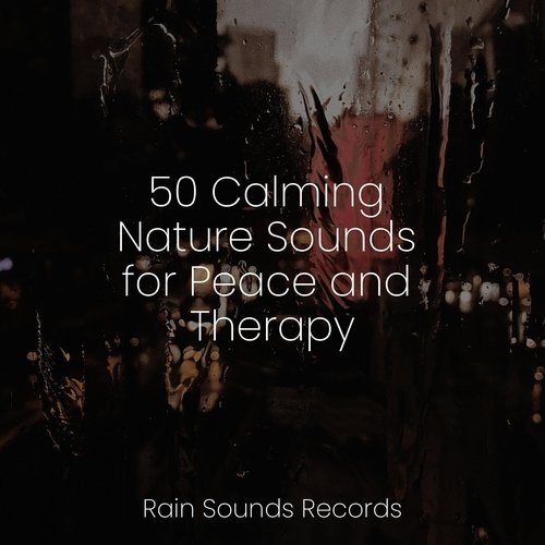 50 Calming Nature Sounds for Peace and Therapy