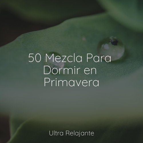 50 Mezcla Para Dormir en Primavera_poster_image