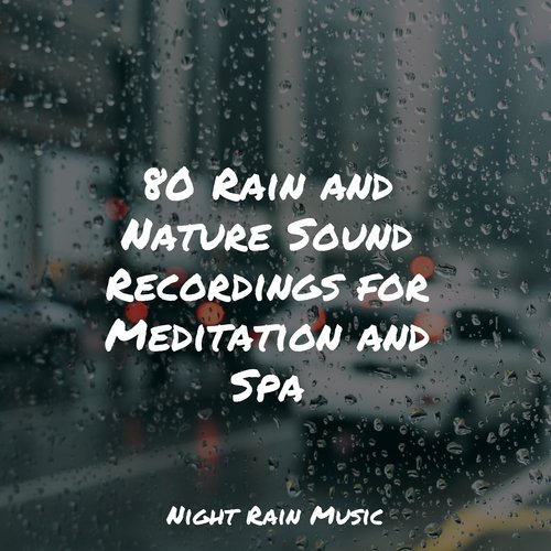 Rain, Storm and Thunder cover art