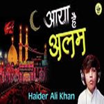 Aaya Hain Alam Noha  (hindi)