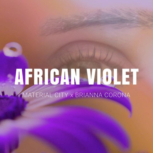 African Violet (feat. Brianna Corona)_poster_image