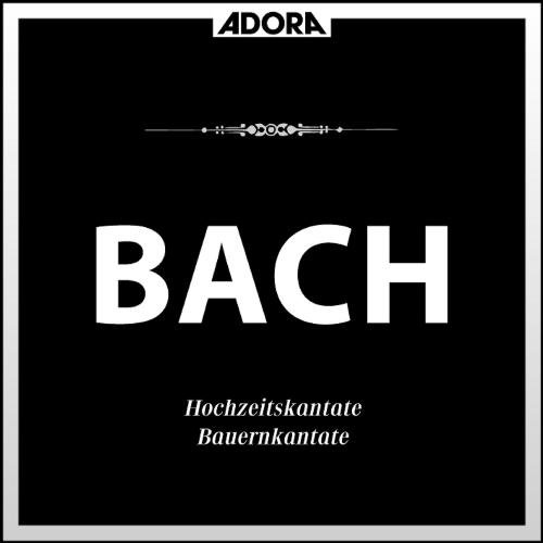 Bach: Hochzeitskantate No. 202, Bauernkantate No. 212