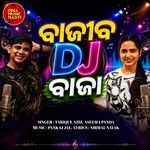 Bajiba DJ Baja