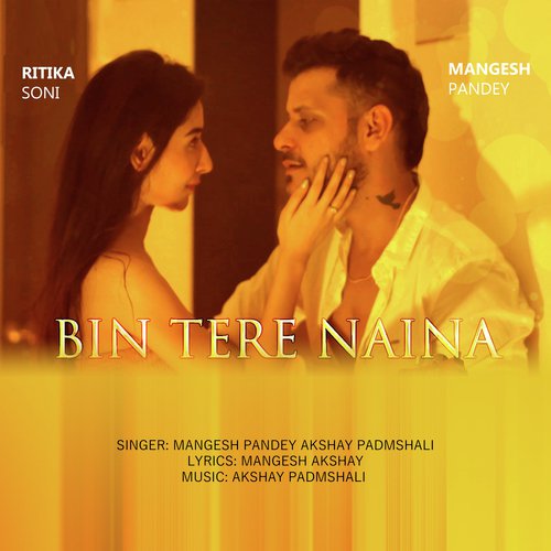 Bin Tere Naina_poster_image