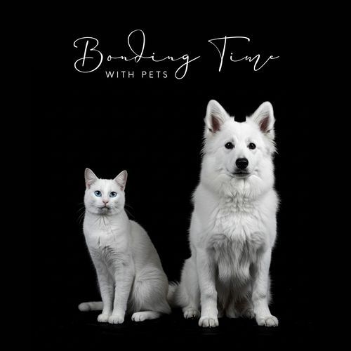 Dog Bedtime cover art