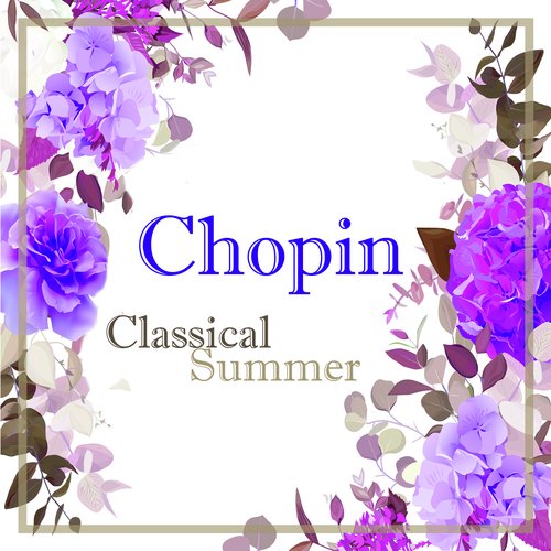 Chopin: 24 Préludes, Op. 28 - No. 9 in E Major