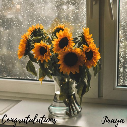Congratulations Piano cover art