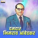 Damdar Bhimrao Ambedkar