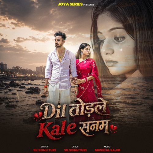Dil Todle Kale Sanam