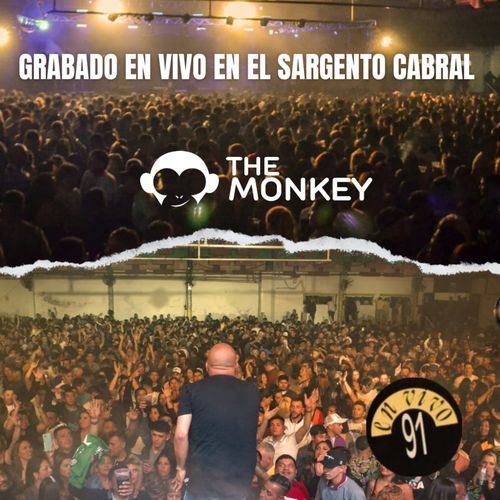 Luis (En Vivo) cover art