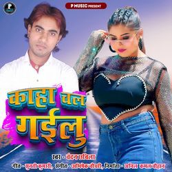 Kaha Chal Gailu