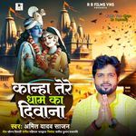Kanha Tere Dham Ka Deewana