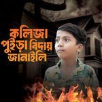 Koliza Poira Biday Janaili