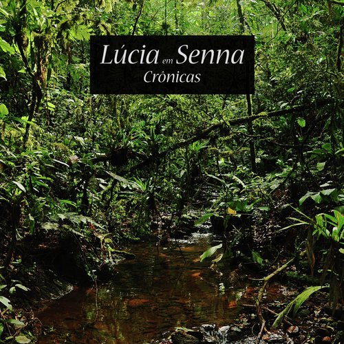 Mundo Brega cover art