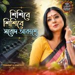 শিশিরে শিশিরে সরোদ আকাশে artwork