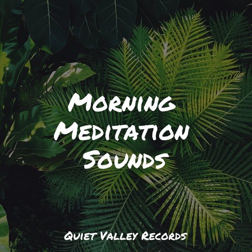 Morning Meditation Sounds