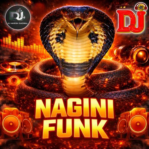 NAGINI FUNK cover art