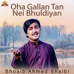 Oha Gallan Tan Nei Bhuldiyan