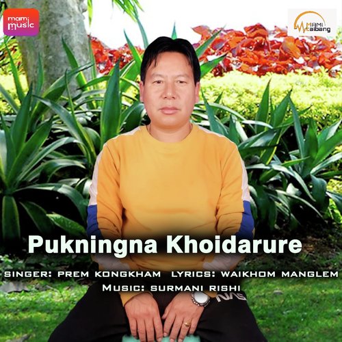 Pukningna Khoidarure