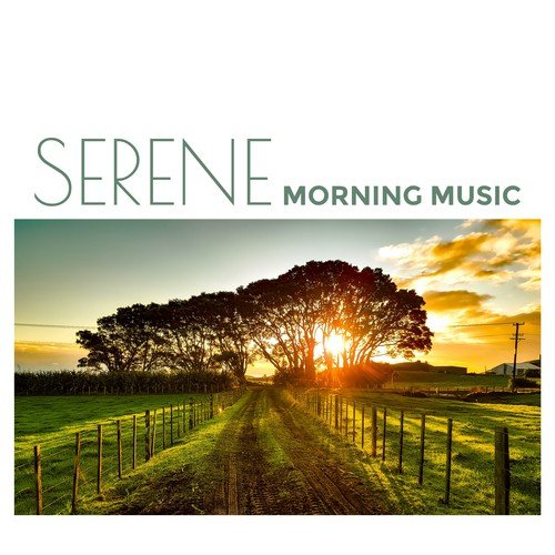 Serene Morning Music: Zen Music for Stress Relief, Positive Energy, Mindfulness & Eliminate Exhaustion_poster_image