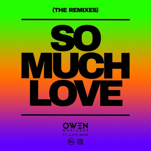 So Much Love (feat. Lloyd Wade) (The Remixes)_poster_image