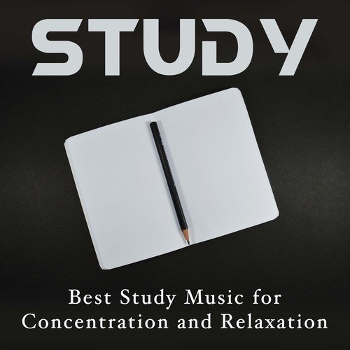 Study - Best Study Music for Concentration and Relaxation. Background Relaxing Music for Learning, Reading and Working