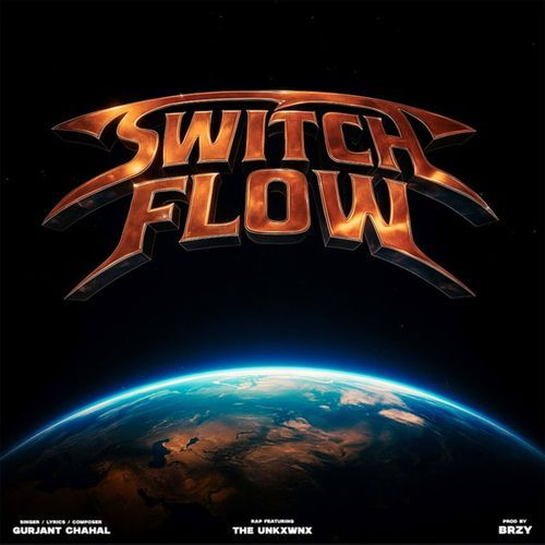 Switch Flow
