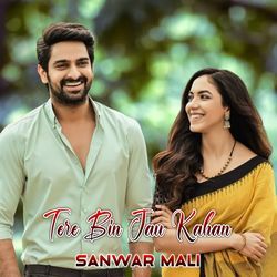 Tere Bin Jau Kahan