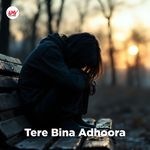Tere Bina Adhoora