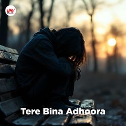 Tere Bina Adhoora