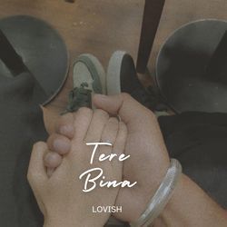 Tere Bina