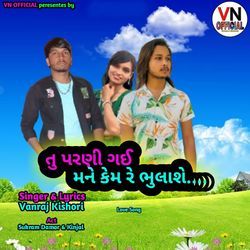 Tu Parani Gayi Mane Kem Re Bhulase