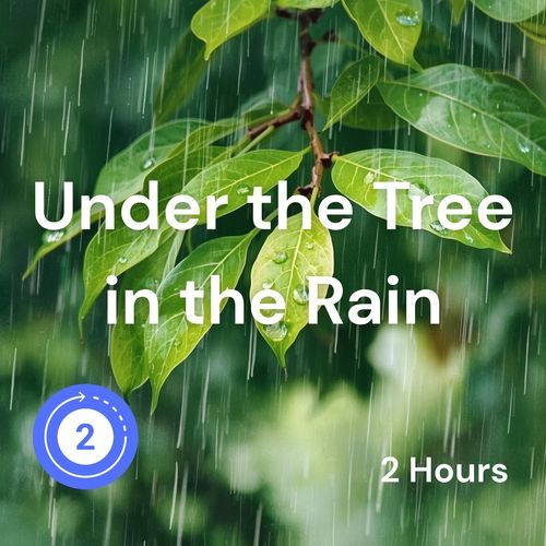 Under the Tree in the Rain (2Hours)
