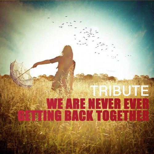 We Are Never Ever Getting Back Together (Tribute To Taylor Swift)