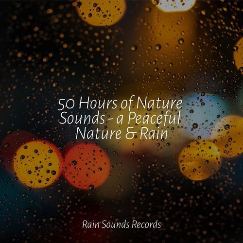 50 Hours of Nature Sounds - a Peaceful Nature & Rain