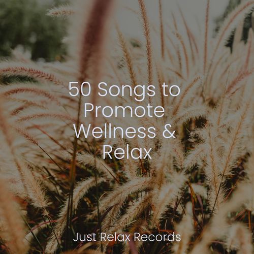 50 Songs to Promote Wellness & Relax