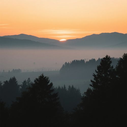 A Brand New Morning