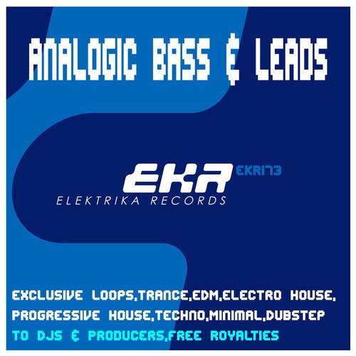 Analogic Bass & Leads Hous3 128 (Tool 13)