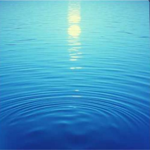 Bamboo Water Sounds & Moss Pond cover art