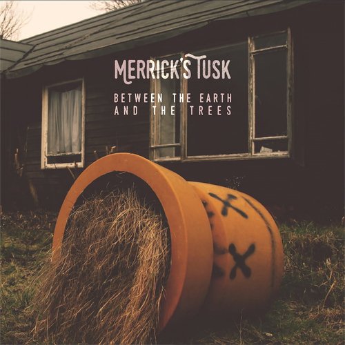 Persist cover art