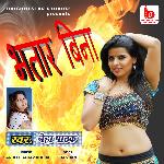 Bhatar Bina