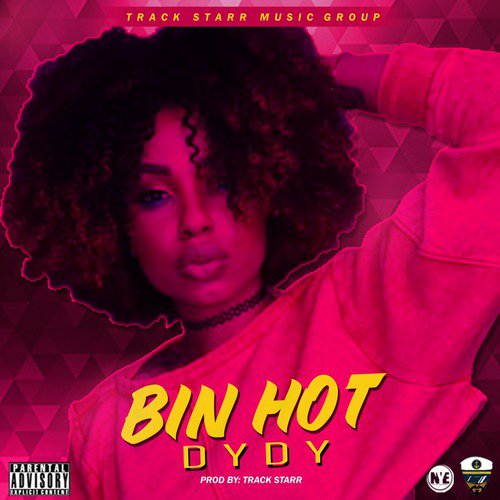 Bin Hot_poster_image