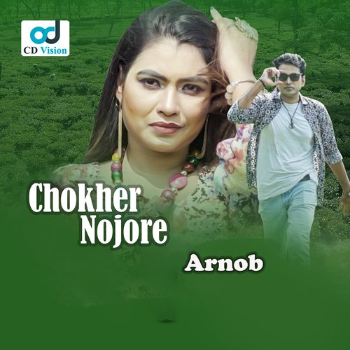 Chokher Nojore