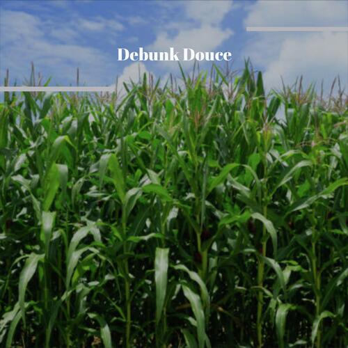 Debunk Douce cover art