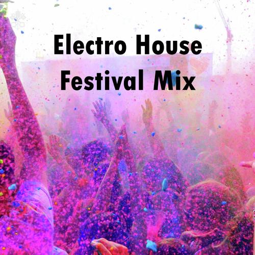 Electro House Festival Mix