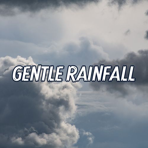 Gentle Rainfall in the Enchanted Forest for Meditation, Deep Relaxation, and Sound Sleep