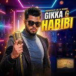 HABIBI artwork